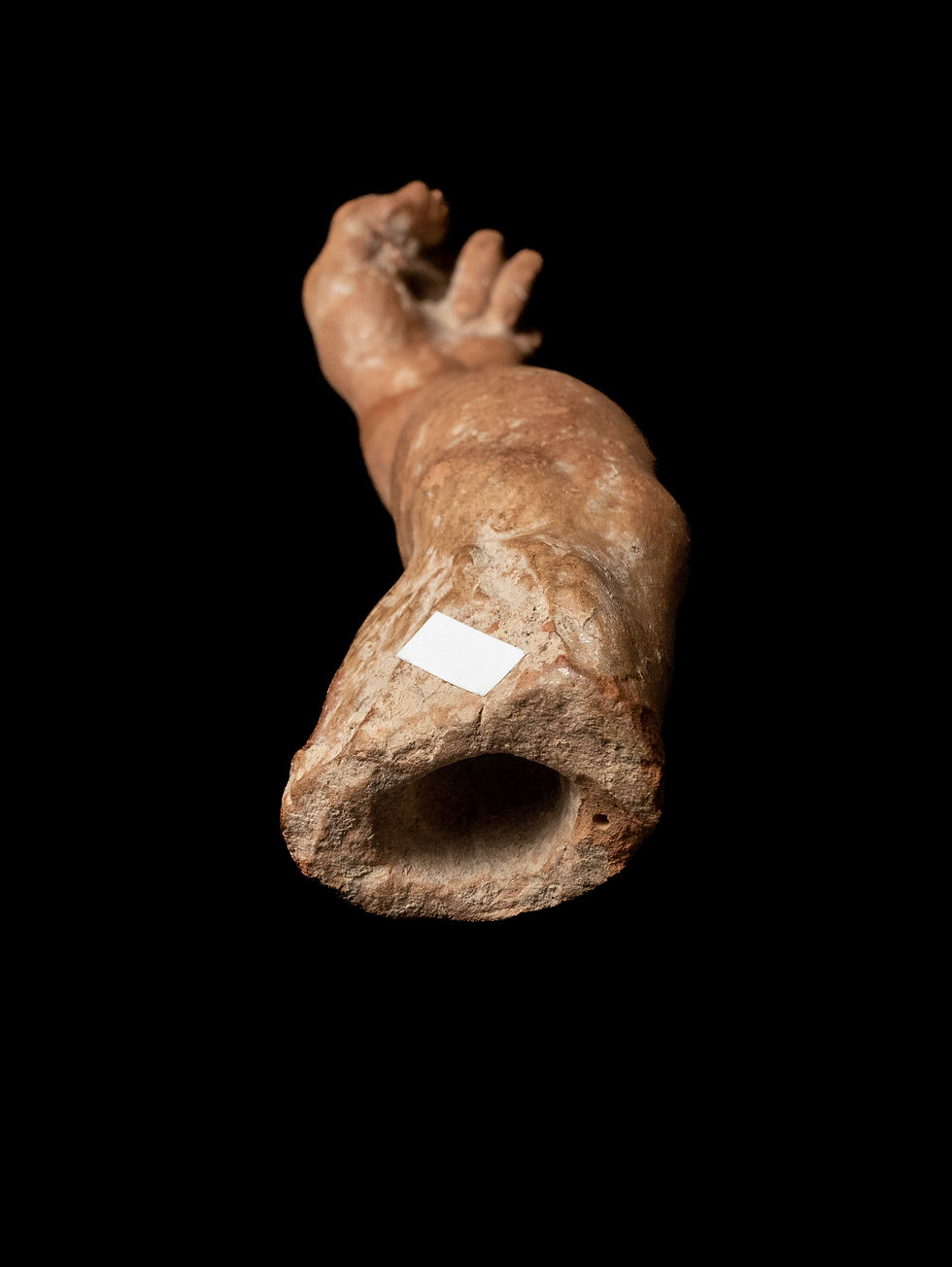 Miniature : Arm