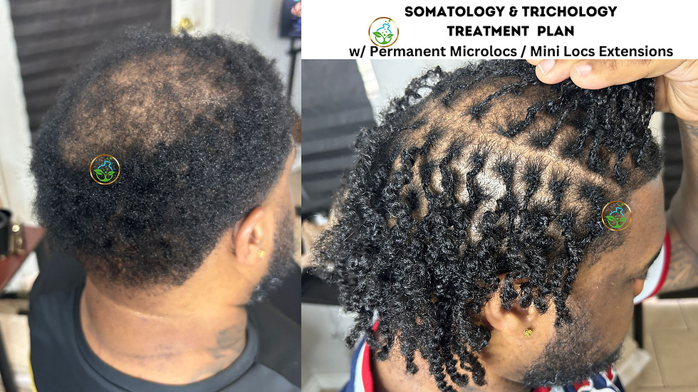 Thumbnail: Mini Locs Extensions