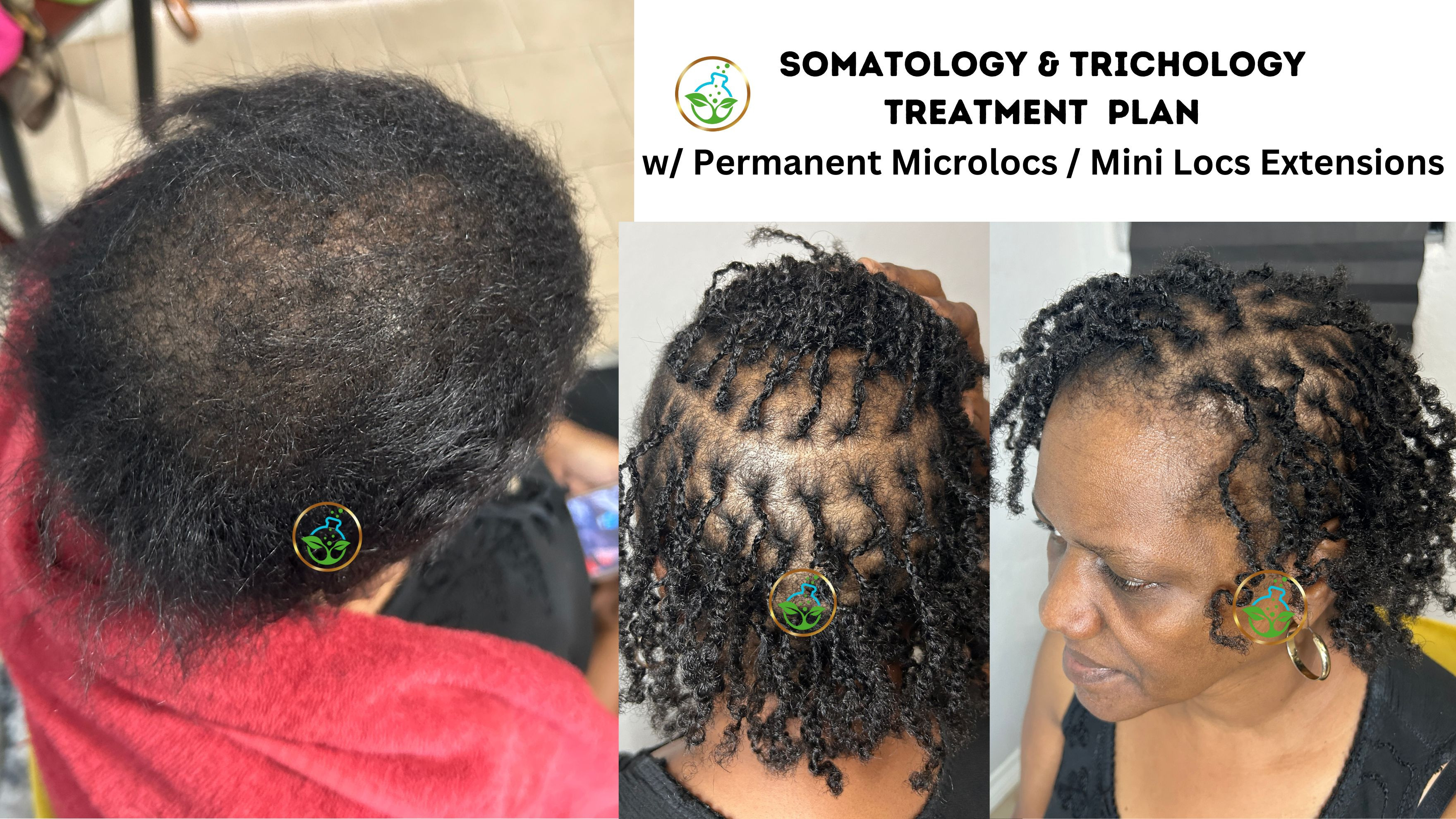 Mini Locs Extensions