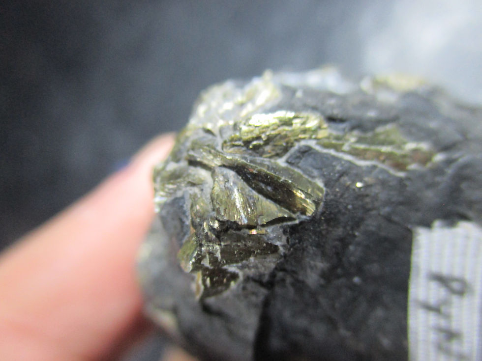 Miniature : Nodule de Pyrite sur matrice, Beauport, Quebec