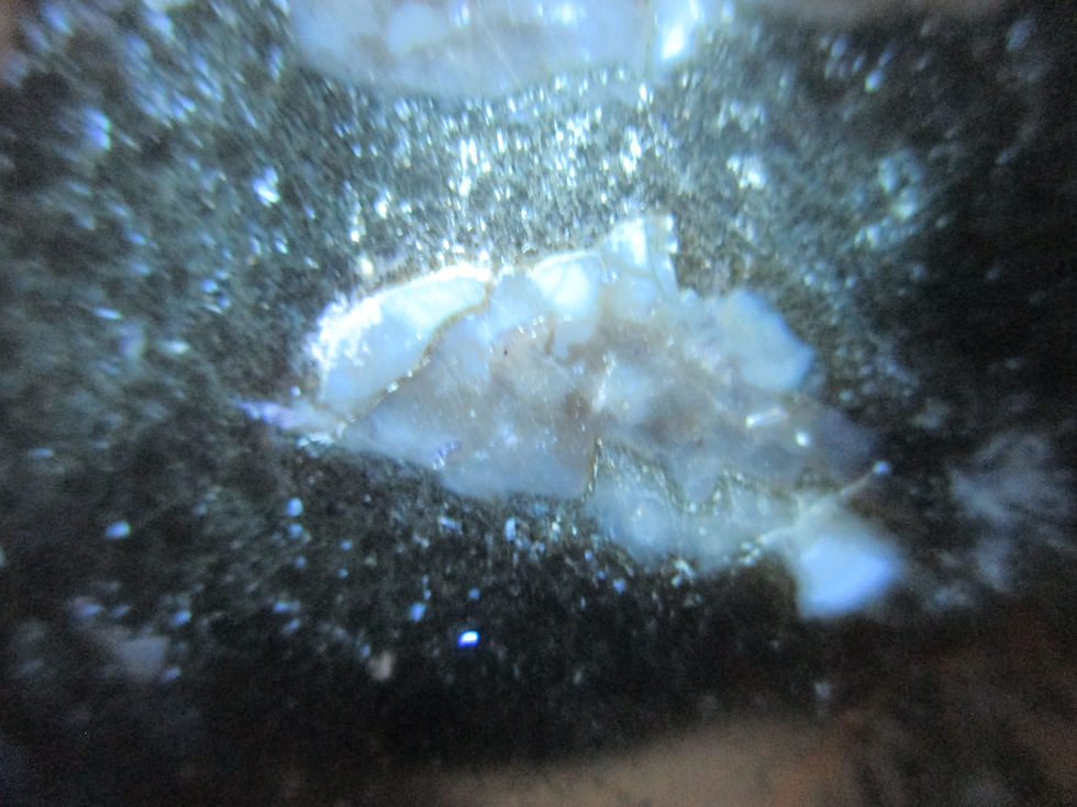 Miniature : Agates (tranche polie), Mont Tuzo, Gaspésie, Québec