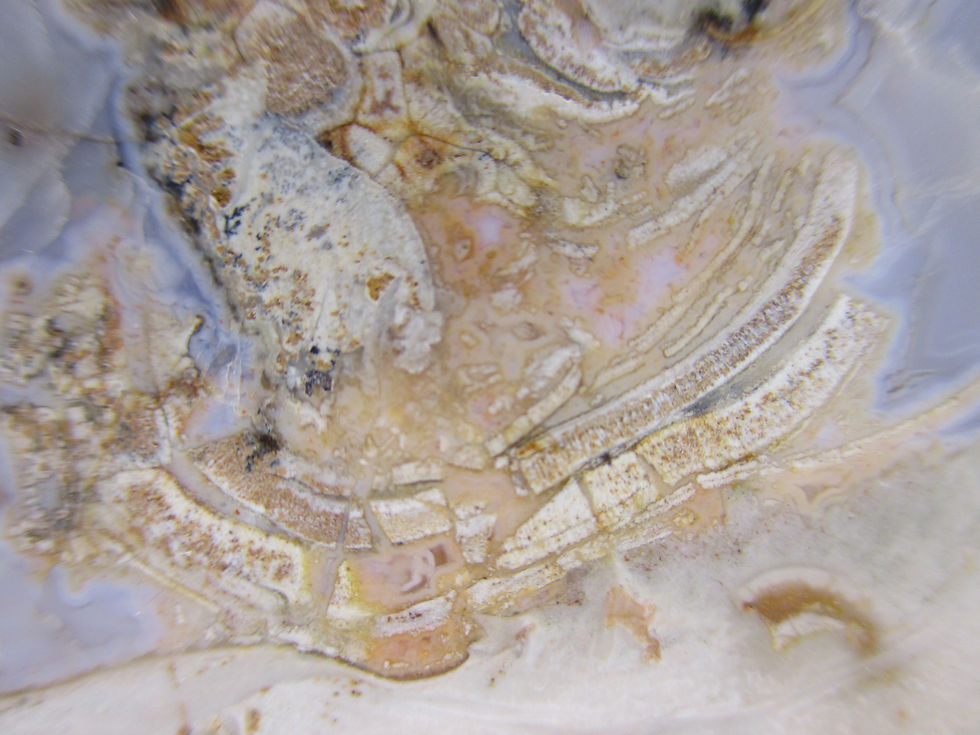 Miniature : Agate polie, Mont Lyall, Gaspésie, Québec