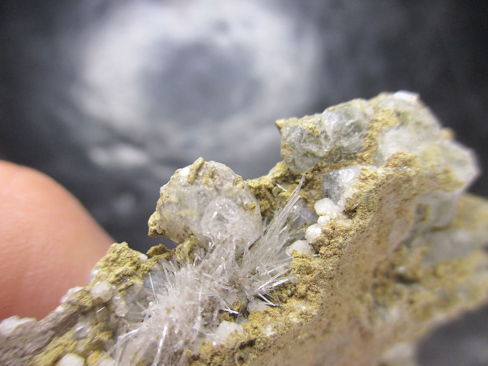 Miniature : Natrolite et Analcimes, Five Islands, Nouvelle écosse