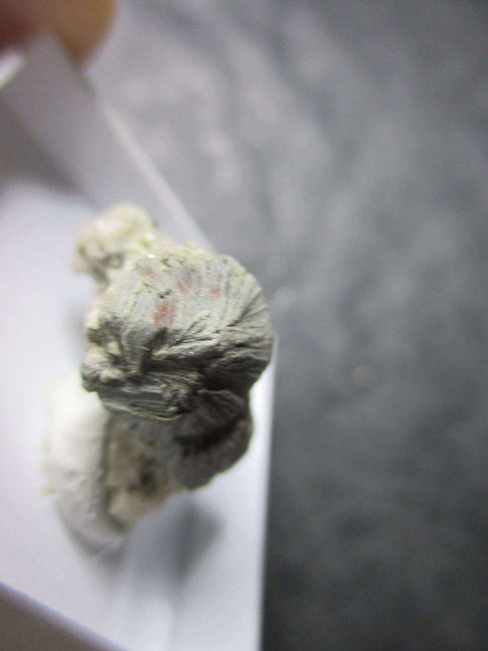 Miniature : Clinochlore et grenats, Mine Jeffrey, Asbestos, Québec