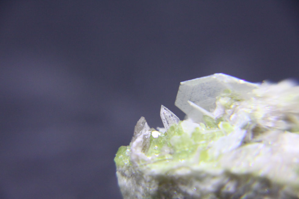 Miniature : Vesuvianite et Clinochlore / mine Jeffrey / Asbestos