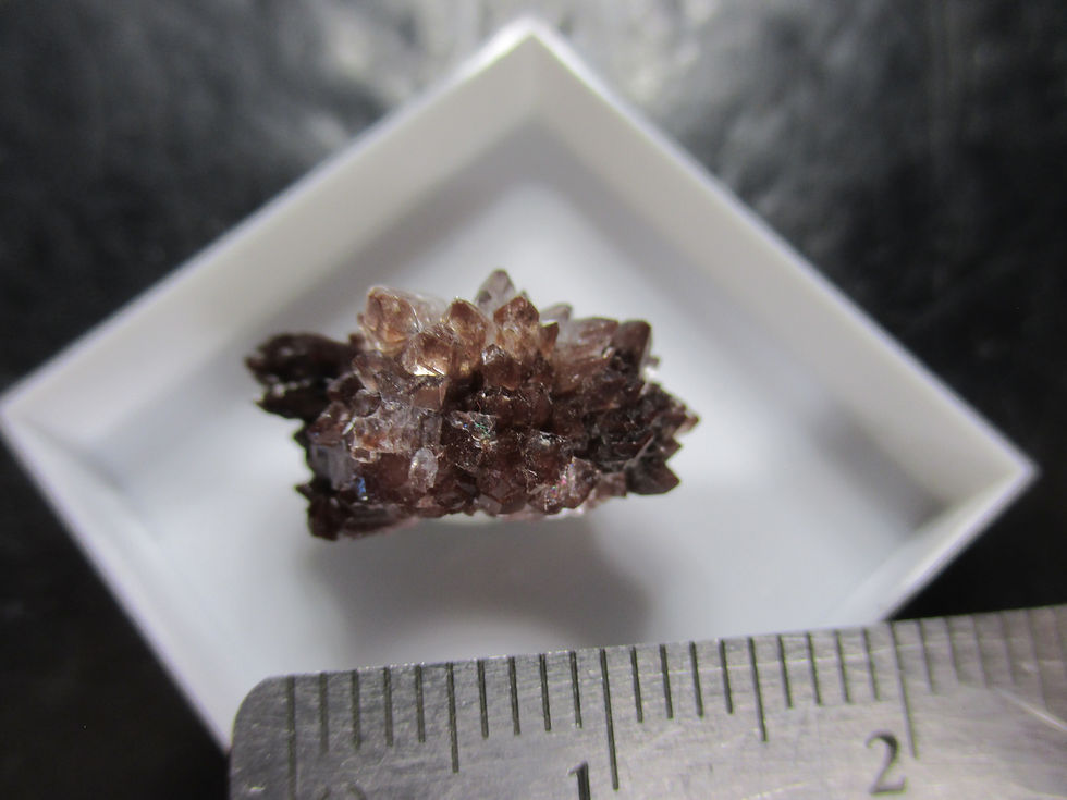 Miniature : Apophyllite, Maharashtra, Inde