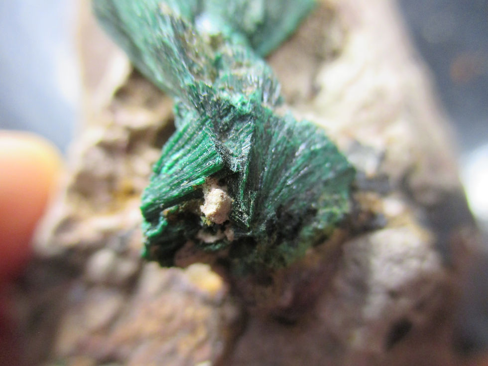 Miniature : Malachite fibreuse sur matrice, Kerrouchen, Maroc