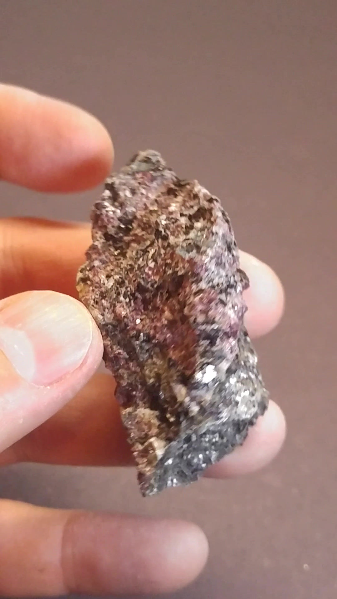 Grenat Almandin sur Biotite, Cap-à-la-Baleine