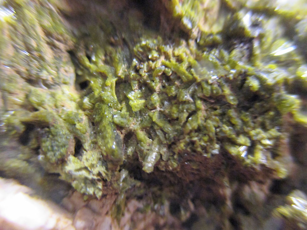 Miniature : Epidote sur Orthose, Imilchil, Maroc