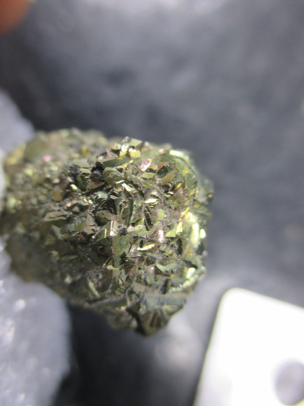 Miniature : Pyrite (nodule), Fleuve St-Laurent, Beauport, Québec