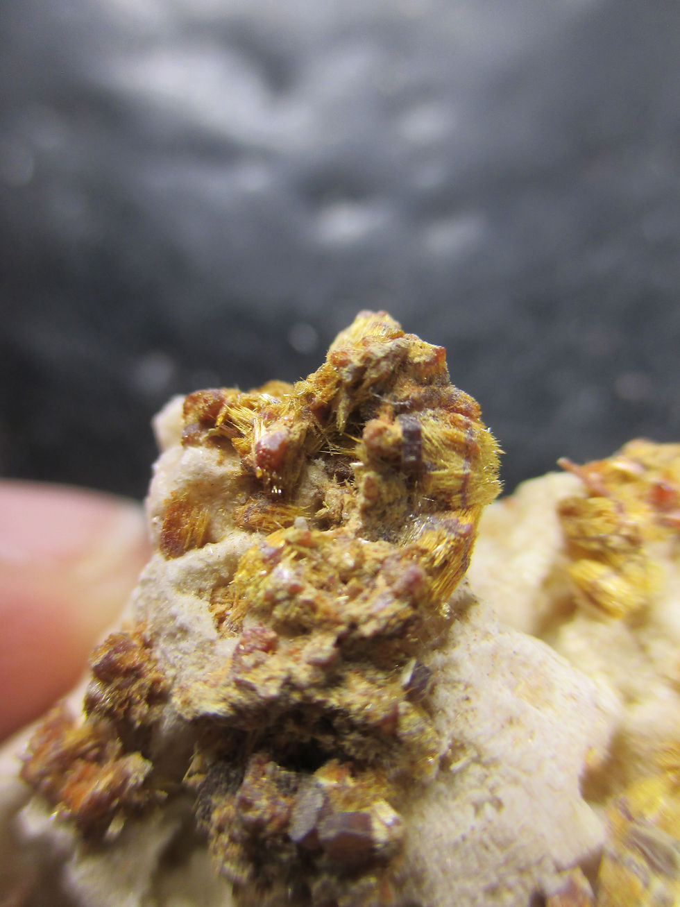 Miniature : Vanadinites en aiguille, Mibladen, Maroc