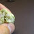 Vesuvianite et Aragonite / mine Jeffrey / Asbestos