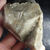 Calcite (Fluorescente), Carrière PCM, St-Wenceslas
