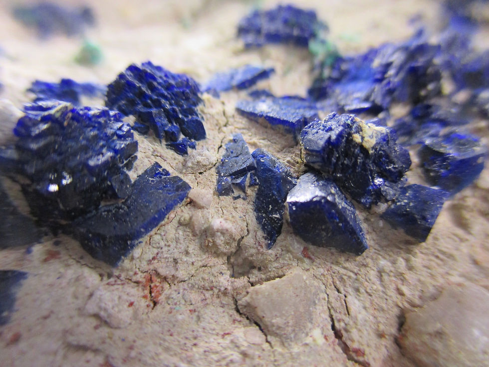 Miniature : Azurites et Malachites sur matrice, Sidi Boubker, Maroc