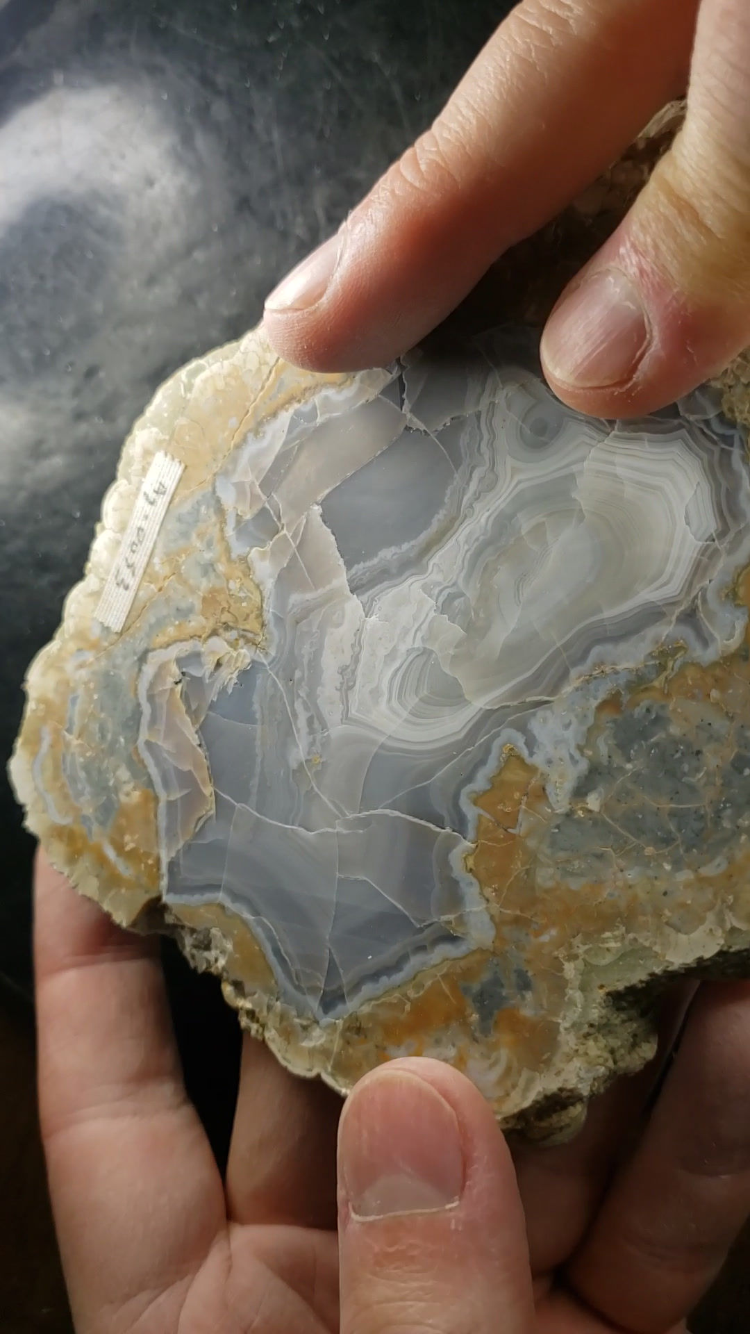 Agates (tranche polie), Mont Tuzo, Gaspésie, Québec