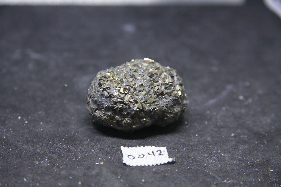 Pyrite (nodule), Fleuve St-Laurent, Québec