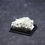 Miniature : Pectolite. Mine Jeffrey, Asbestos