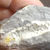Fossile de Cephalopode avec cristallisation de Calcite