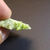 Vesuvianite / mine Jeffrey / Asbestos