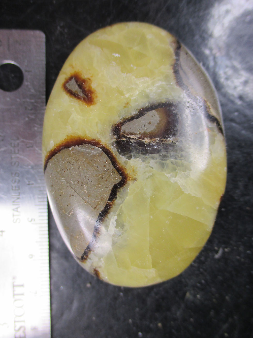Miniature : Septaria (galet poli), Madagascar