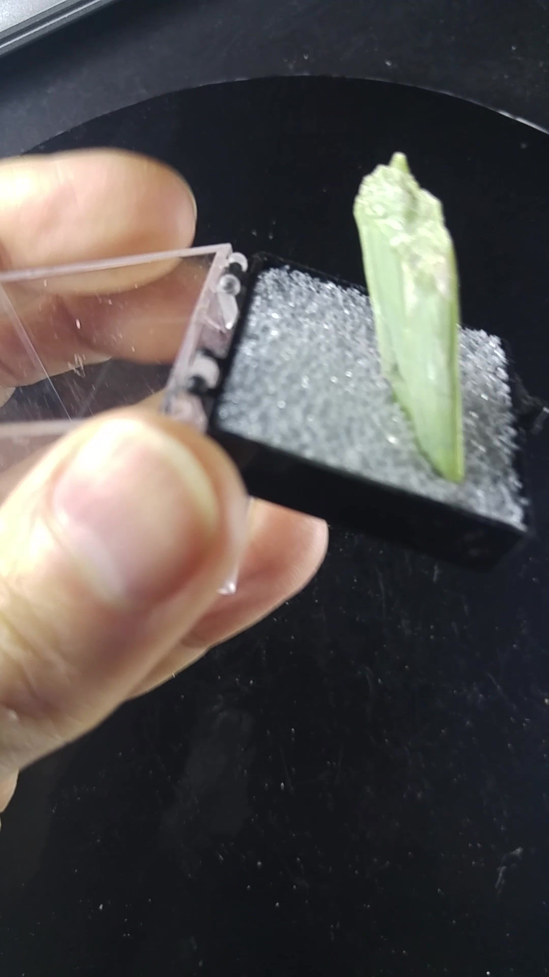 Serpentine var. Antigorite, Mine Montréal Talc, St-Pierre-de-Broughton