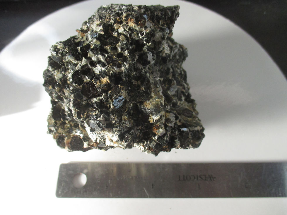 Miniature : Annite, Mont-St-Hilaire (MSH)