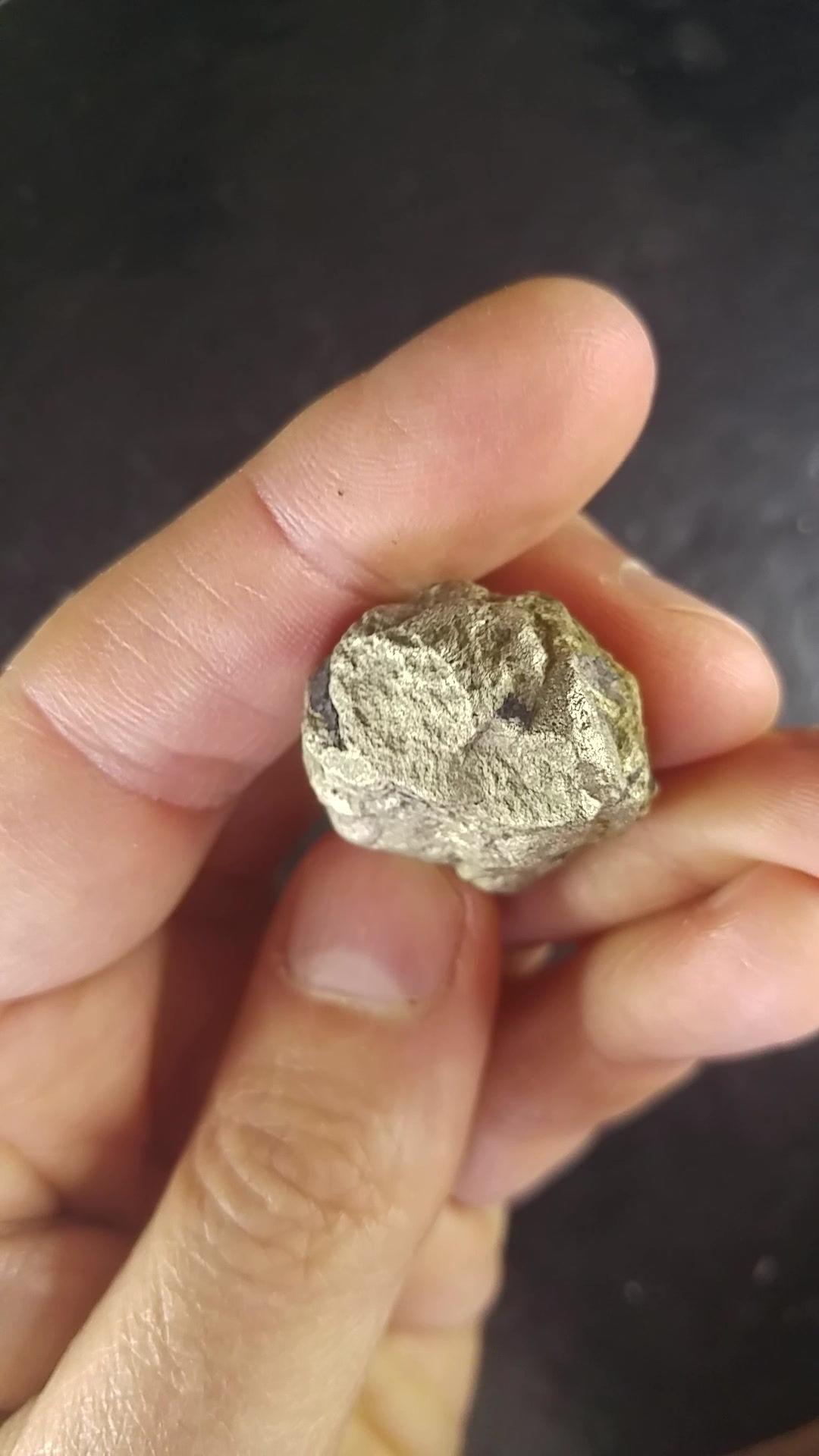 Nodule de Pyrite, Beauport, Quebec