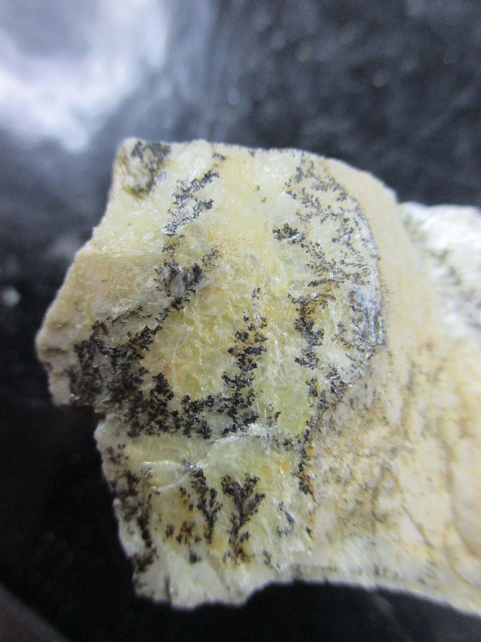 Miniature : Dendrites de manganèse (pyrolusite), Bethel, Maine, U.S.A.