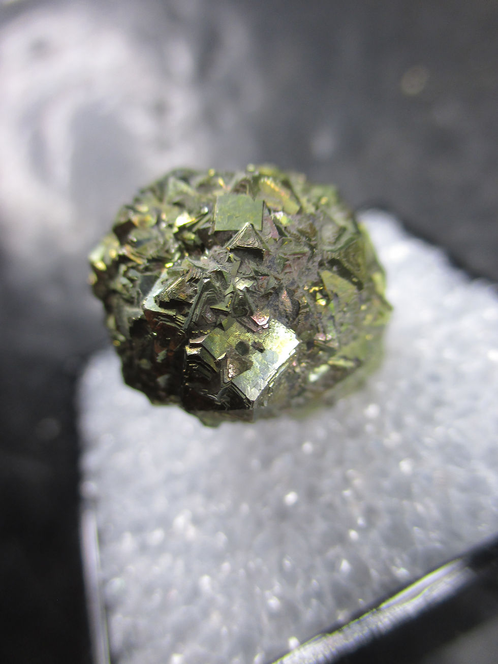 Miniature : Pyrite (nodule), Fleuve St-Laurent, Beauport, Québec