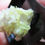 Miniature : Vesuvianite et Pectolite, Mine Jeffrey, Asbestos