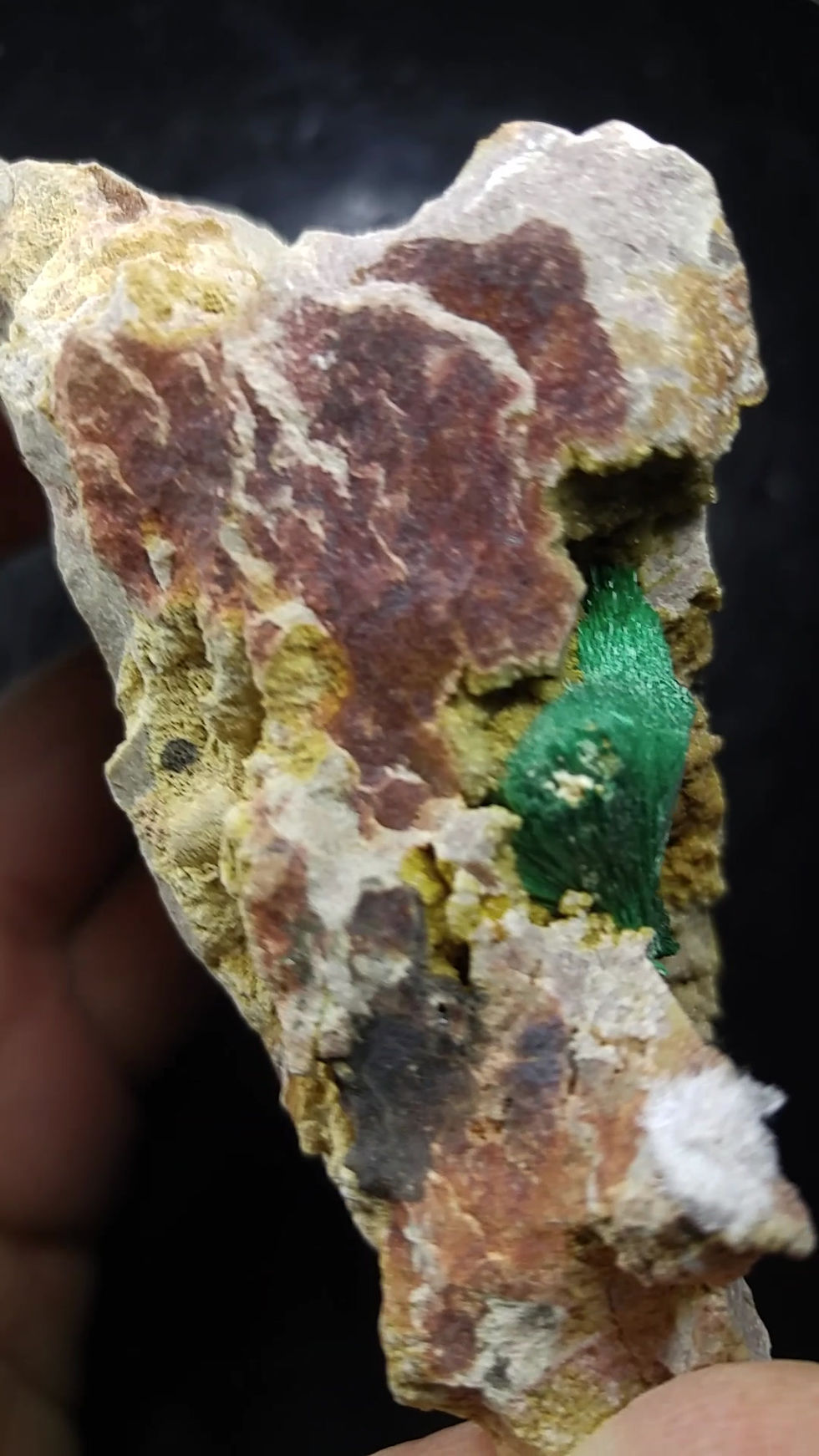 Miniature : Malachite fibreuse sur matrice, Kerrouchen, Maroc