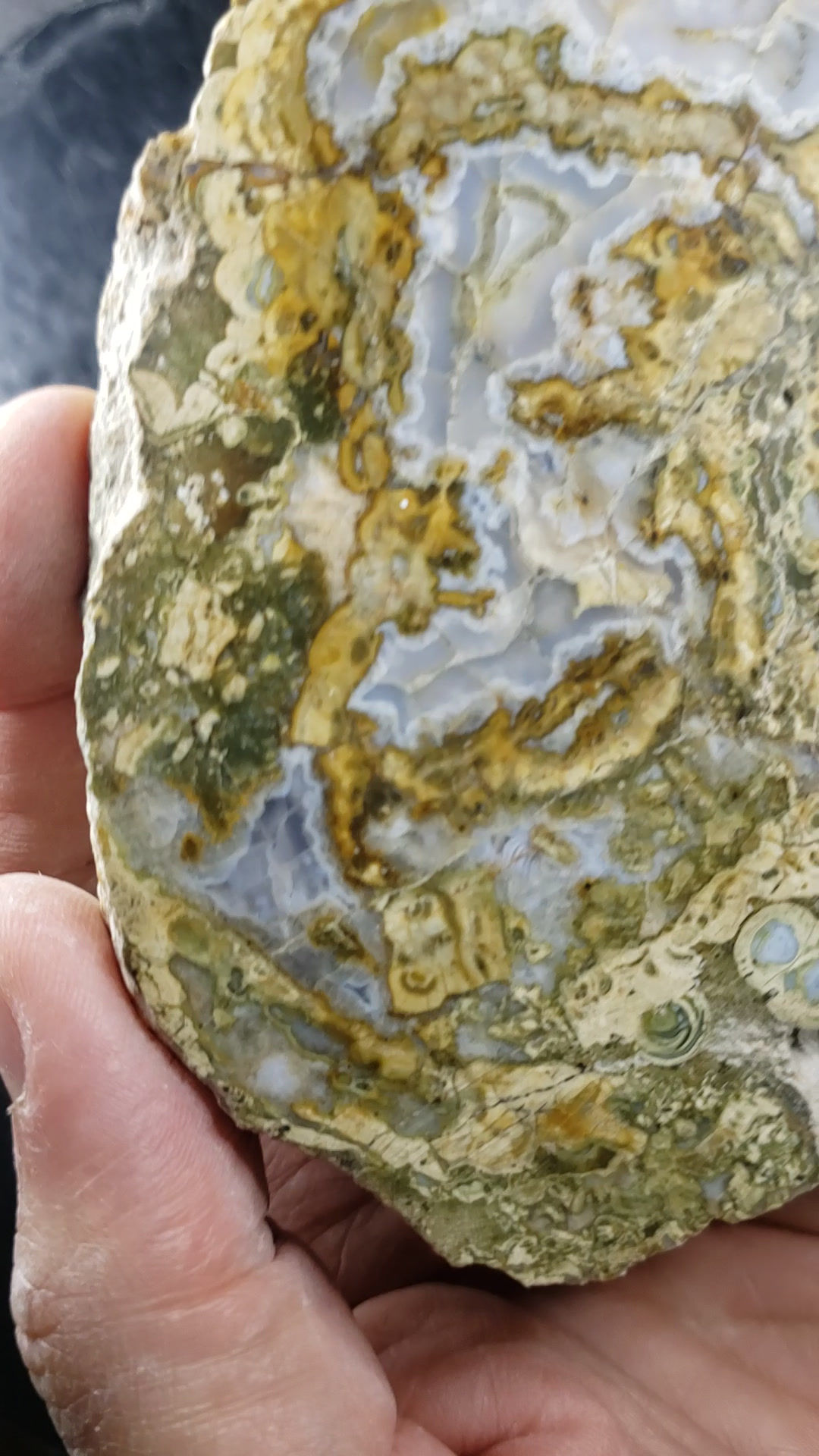 Agate polie, Mont Tuzo, Gaspésie, Québec