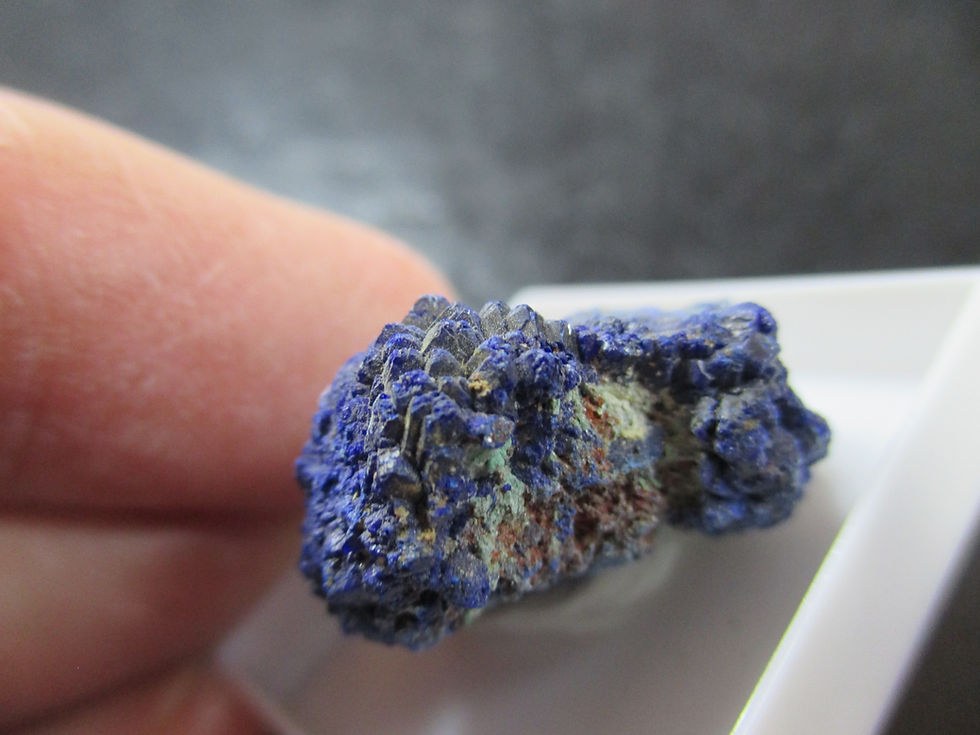 Miniature : Azurite, Florence, Arizona, U.S.A.