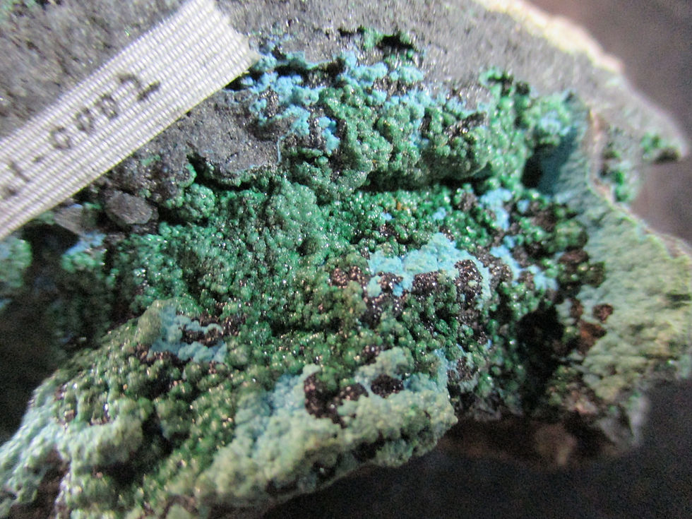 Miniature : Malachite et Chrysocolle, Katanga, Congo