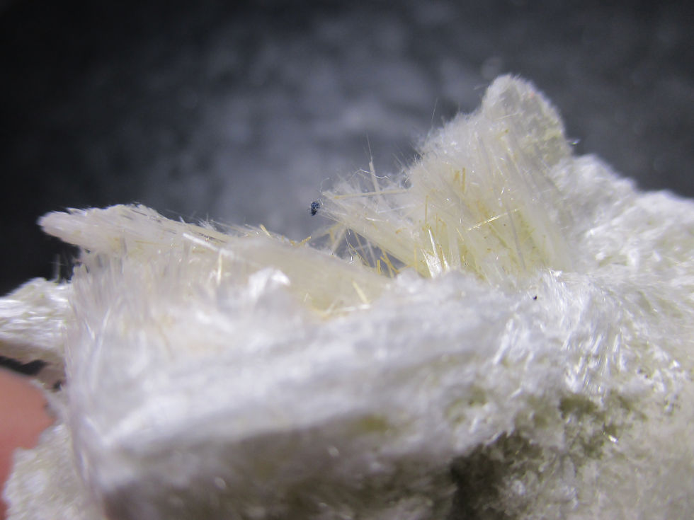 Miniature : Pectolite, Mine Jeffrey, Asbestos, Québec