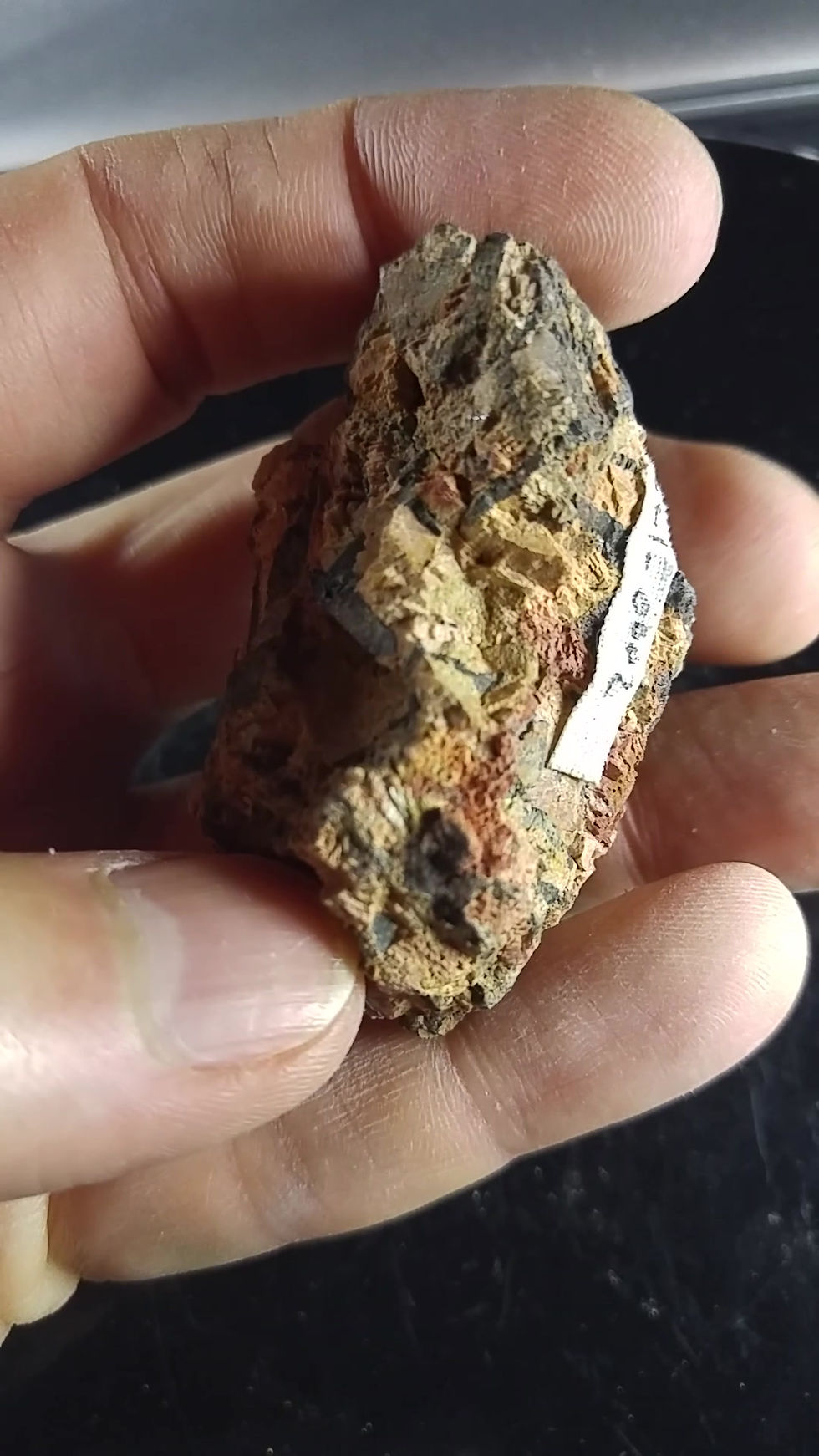 Miniature : Columbite et Zircon, Rose Quartz Pit, Quadeville