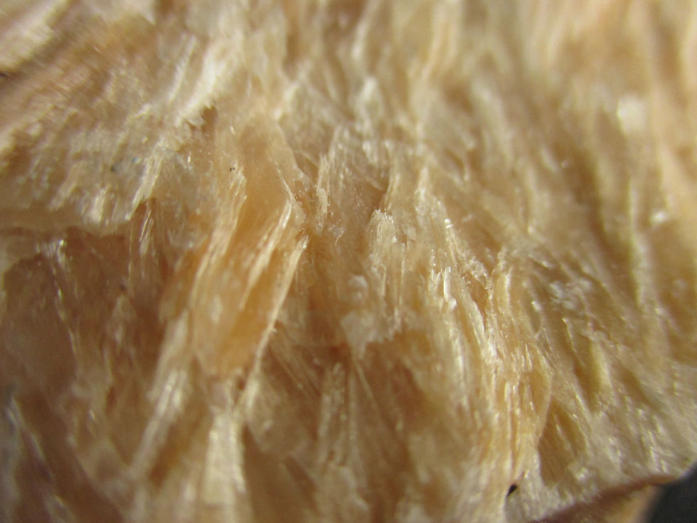 Miniature : Selenite, Nouvelle-Écosse