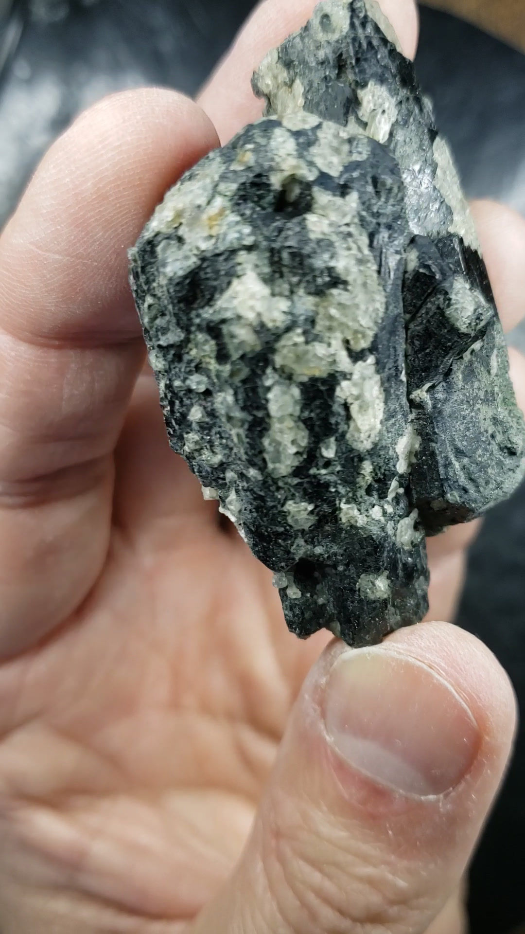 Augite, Apatite et Titanite, Laurentides, Québec