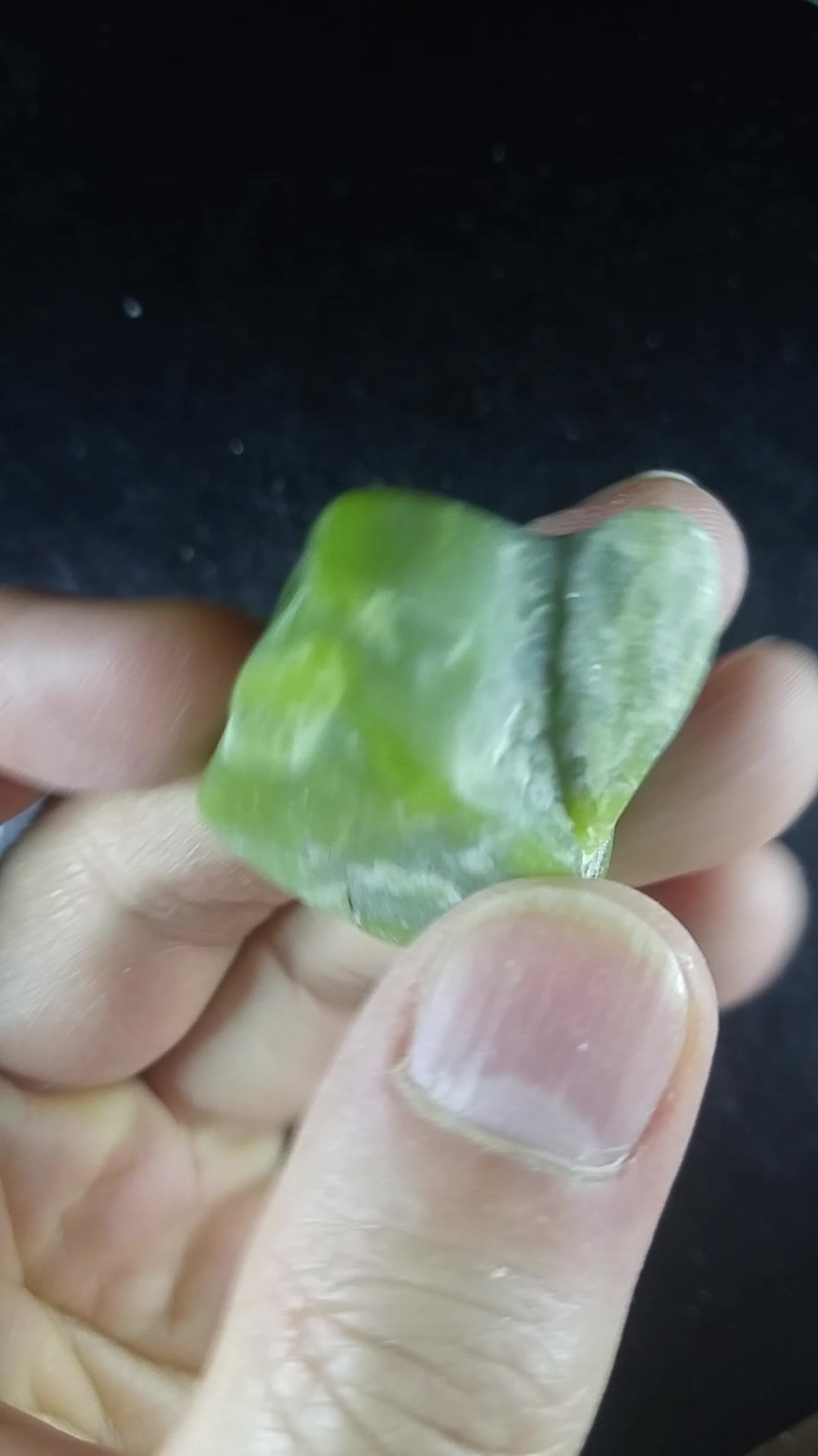 Serpentine "gemme" polie, État de Washington, U.S.A.