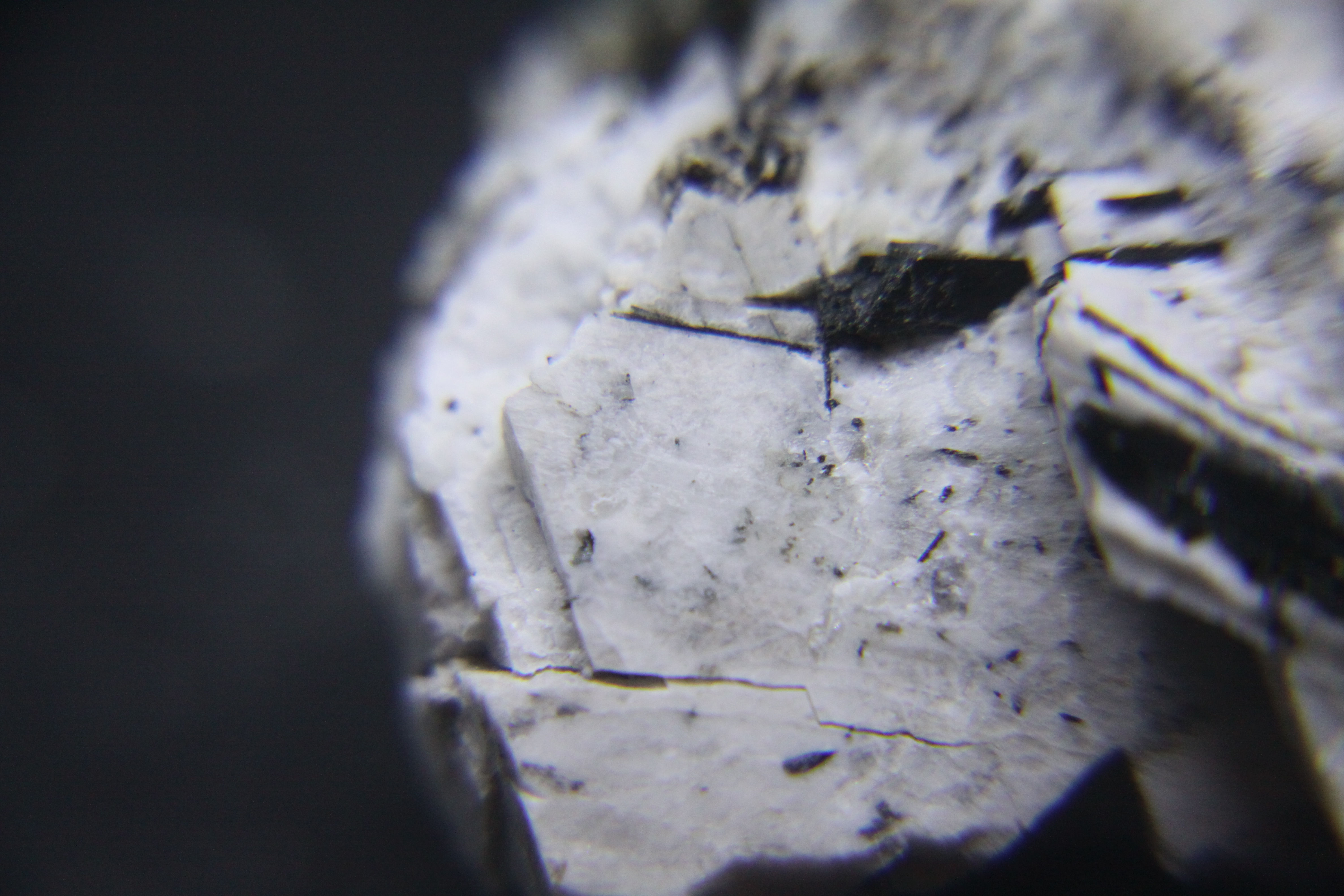 Aegyrine, Microcline, Hackmanite (fluorescent) et autres, Mont-St-Hilaire (MSH)