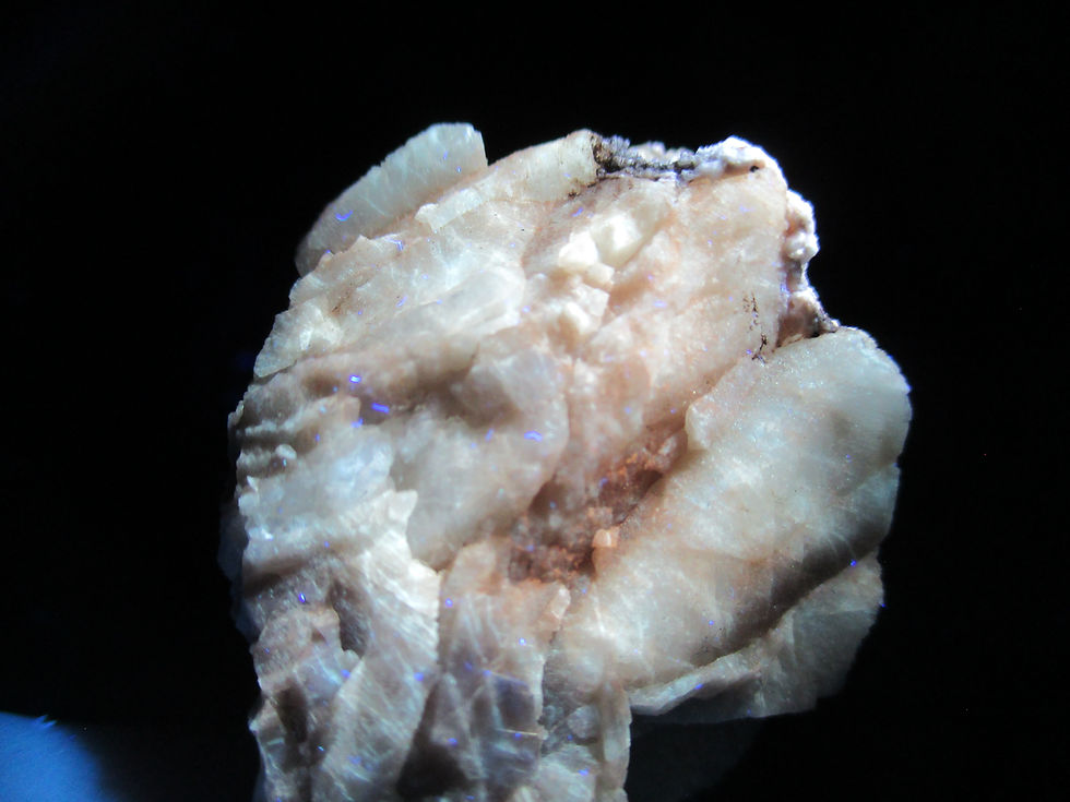 Miniature : Calcite (fluorescente), Saguenay-Lac-St-Jean