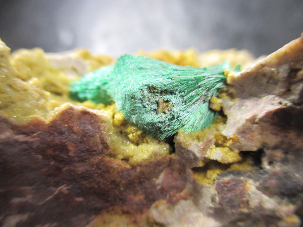 Miniature : Malachite fibreuse sur matrice, Kerrouchen, Maroc