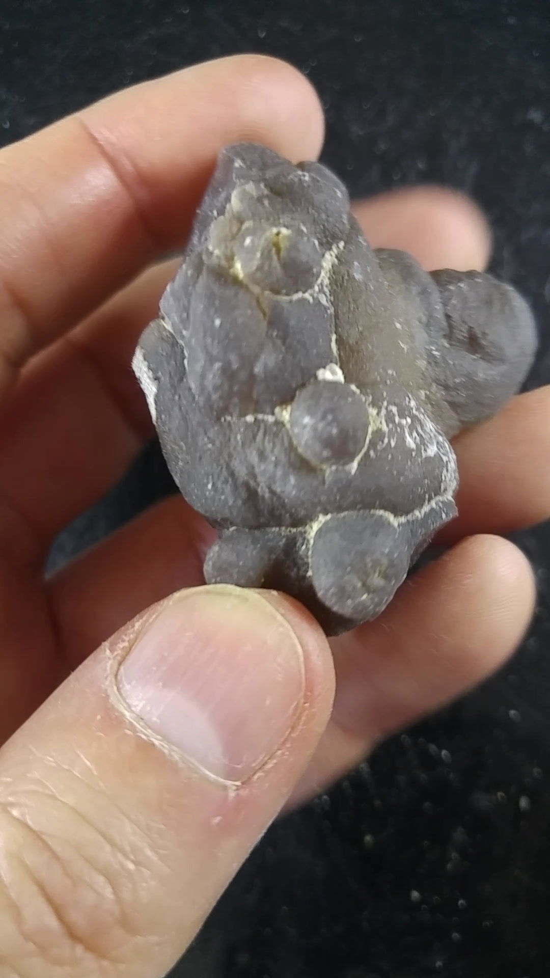 Calcédoine Bothroïdale, Smara, Maroc