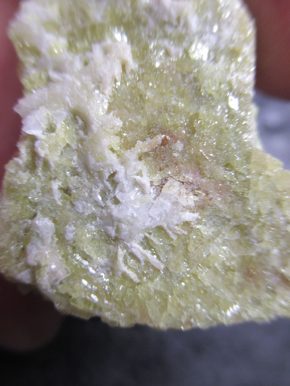 Miniature : Vesuvianite et Pectolite, Mine Jeffrey, Asbestos, Québec
