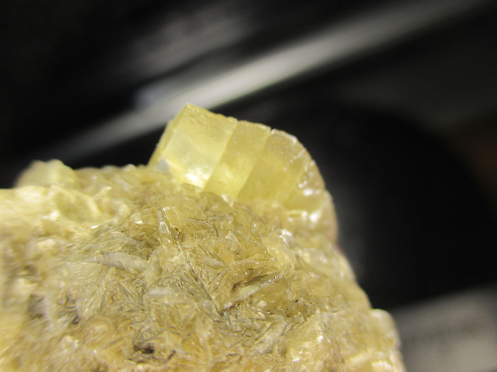 Miniature : Gypse (Selenite) Fluorescent, Red-Riverfloodway, Winnipeg, Manitoba