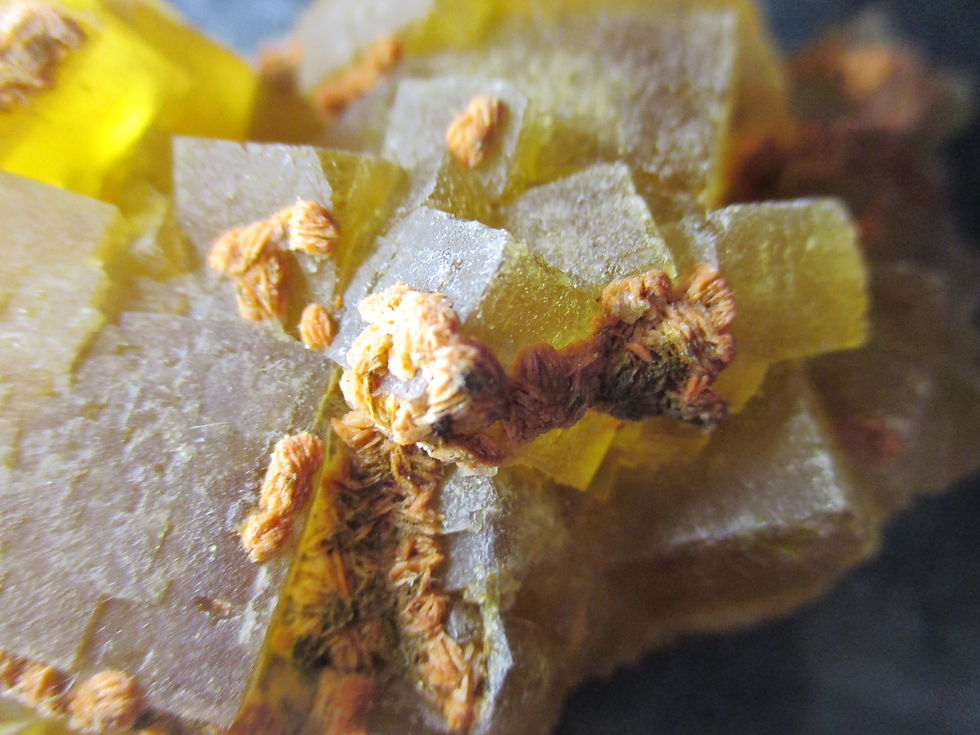 Miniature : Fluorite (fluorescente) et Baryte, Aouli, Maroc