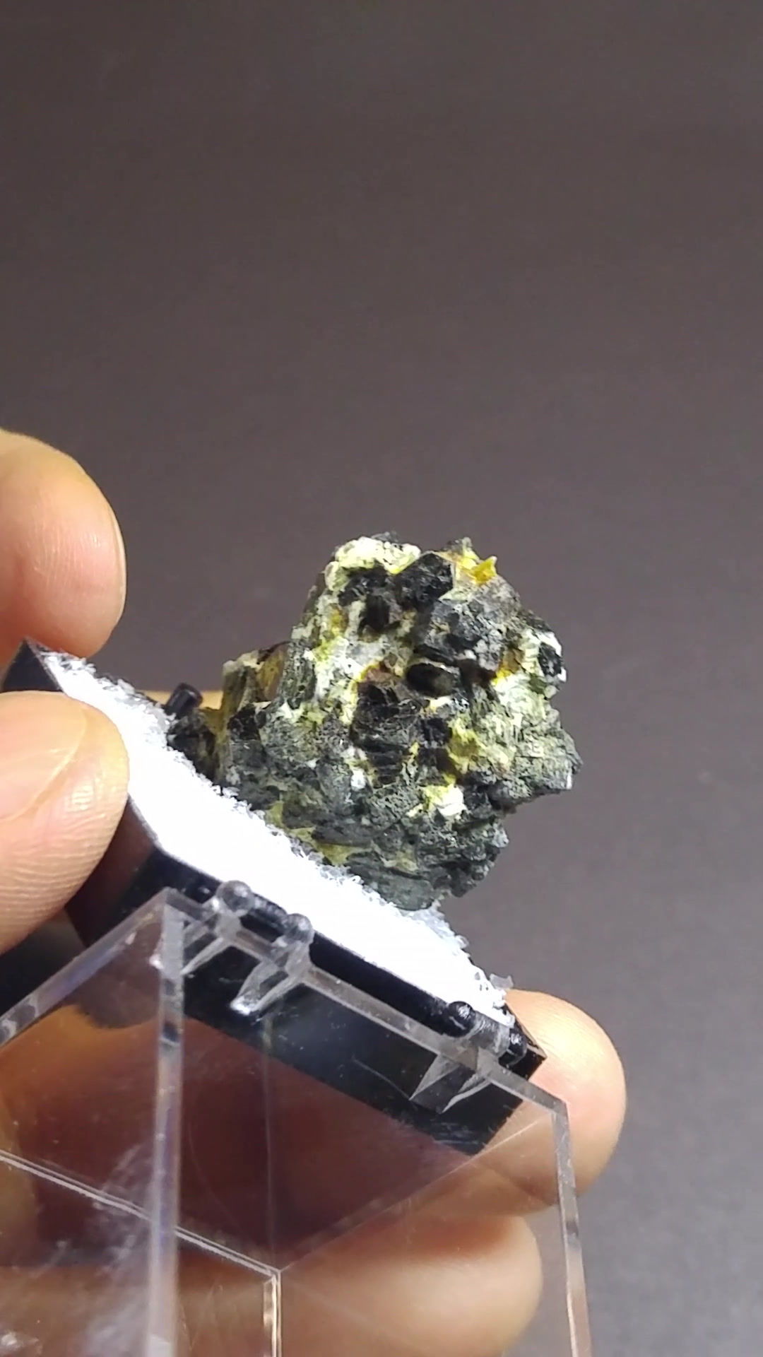 Annite, Mont-St-Hilaire (MSH)