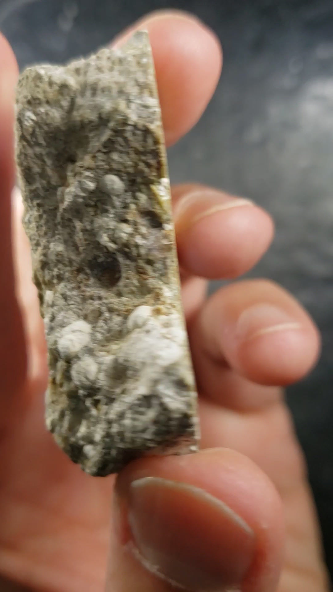 Agate polie, Mont Tuzo, Gaspésie, Québec
