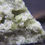 Miniature : Vesuvianite / mine Jeffrey / Asbestos