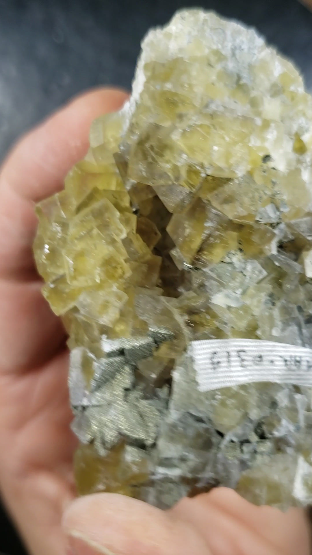 Fluorite (fluorescente) et Pyrite, El Hammam, Maroc